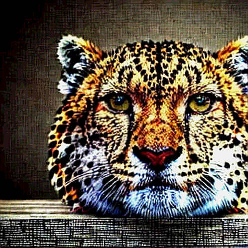 The $4 Billion Mirage: Why Solana's DEX Volume Signals Fragility, Not Strength The $4 Billion Mirage: Why Solana's DEX Volume Signals Fragility, Not Strength