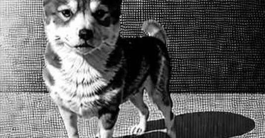 The SEC Wants to Put an AI Collar on the Frontier — Here’s Why the Market Hasn’t Priced It In Yet The SEC Wants to Put an AI Collar on the Frontier — Here’s Why the Market Hasn’t Priced It In Yet