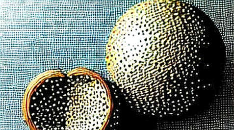 The Silicon Heartbeat of the Next Narrative: Why Samsung’s HBM4 Breakthrough Matters More Than Any Token Airdrop