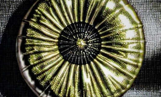 CME's GPU Futures: Wall Street's First Attempt to Tokenize Compute as a Commodity CME's GPU Futures: Wall Street's First Attempt to Tokenize Compute as a Commodity