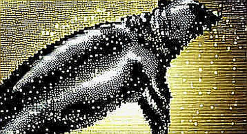 Hyperliquid's $12B OI: A Technical Milestone or a Mirage? Hyperliquid's $12B OI: A Technical Milestone or a Mirage?