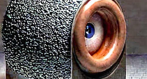 The Silence in SafePal’s Code: A 90-Day Delay That Speaks Volumes About Web3’s Hidden Data Risk