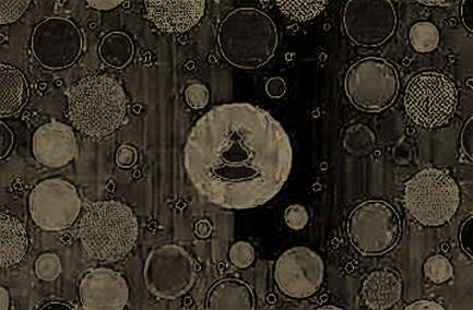 The 300 BTC Whisper: Bhutan’s Silent Wallet Move and What the Data Really Says
