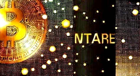 SATA's Quiet Accumulation: The Anti-Woke ETP Buying Bitcoin at Par — And Why It Matters SATA's Quiet Accumulation: The Anti-Woke ETP Buying Bitcoin at Par — And Why It Matters